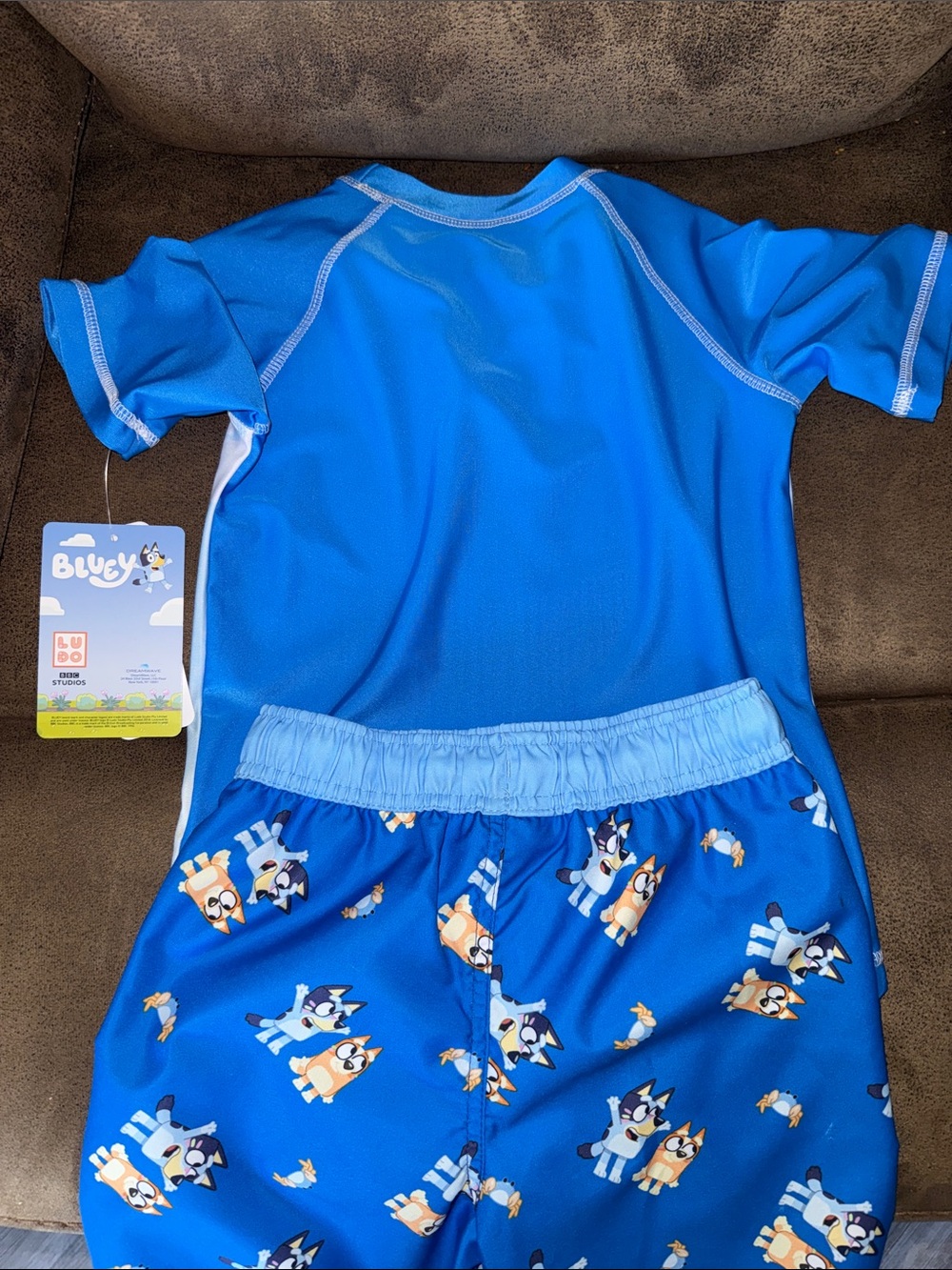 Bluey Bingo Kids swim shorts and Rash Guard swim Set - Picture 5 of 6